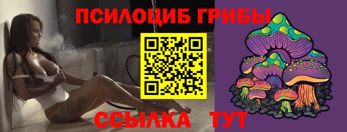 Галлюциногенные грибы GOLDEN TEACHER Щёлково