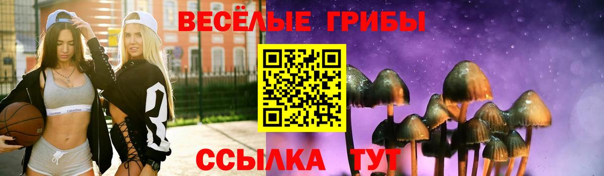 Галлюциногенные грибы Cubensis  Вход с VPN  Щёлково 